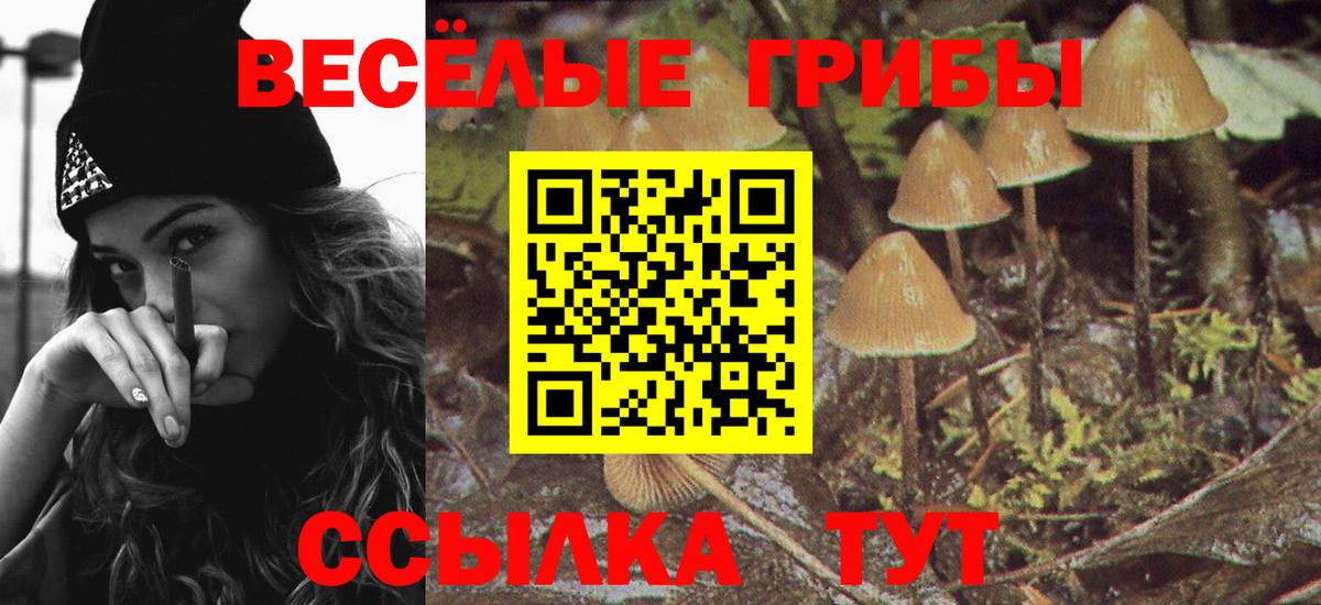 Киржач  Галлюциногенные грибы MAGIC MUSHROOMS  Вход с VPN 