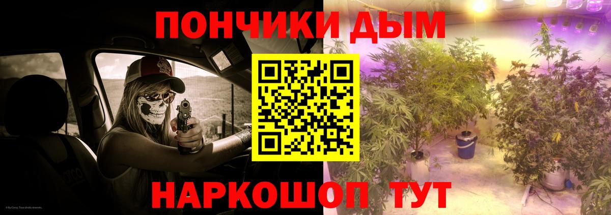 Канабис семена Киржач